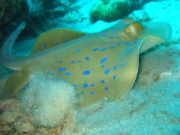marsa_alam_200510 284